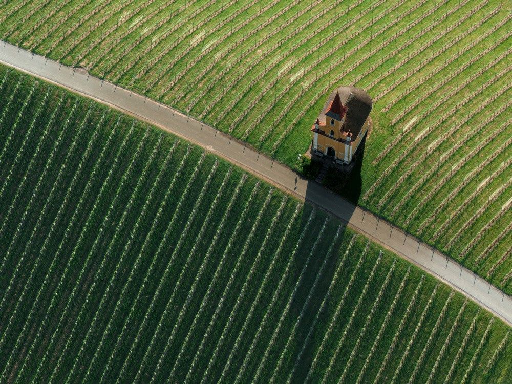 The Schreiner chapel in Wielitsch