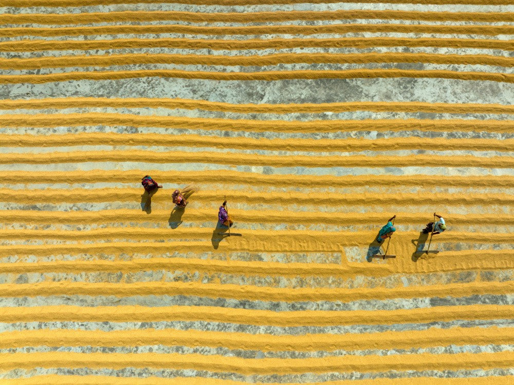 Racking rice
