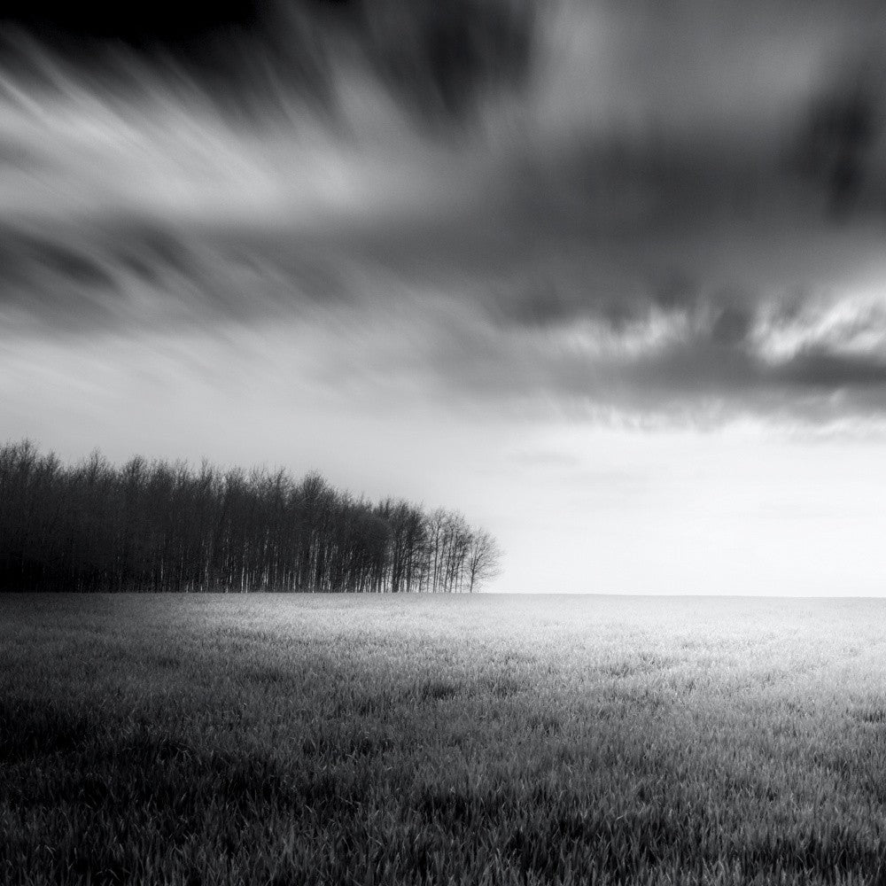 Hochwald