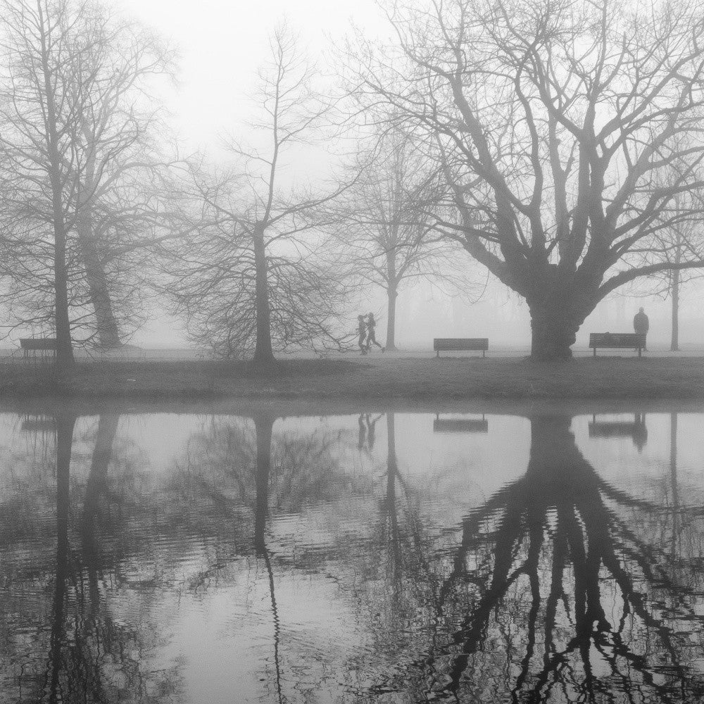 The park in Februari