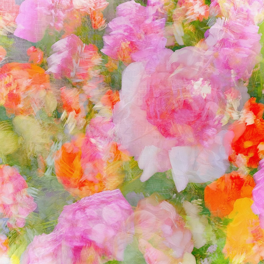 My Rose Garden Impression