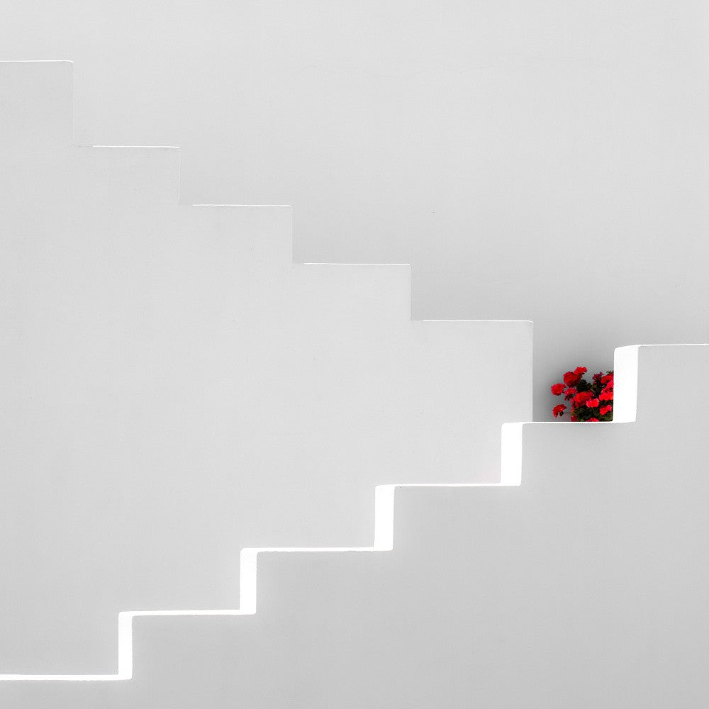 red flower pot
