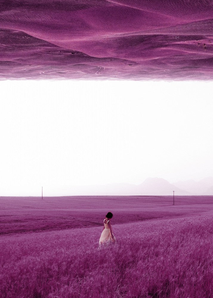 Purple Fields