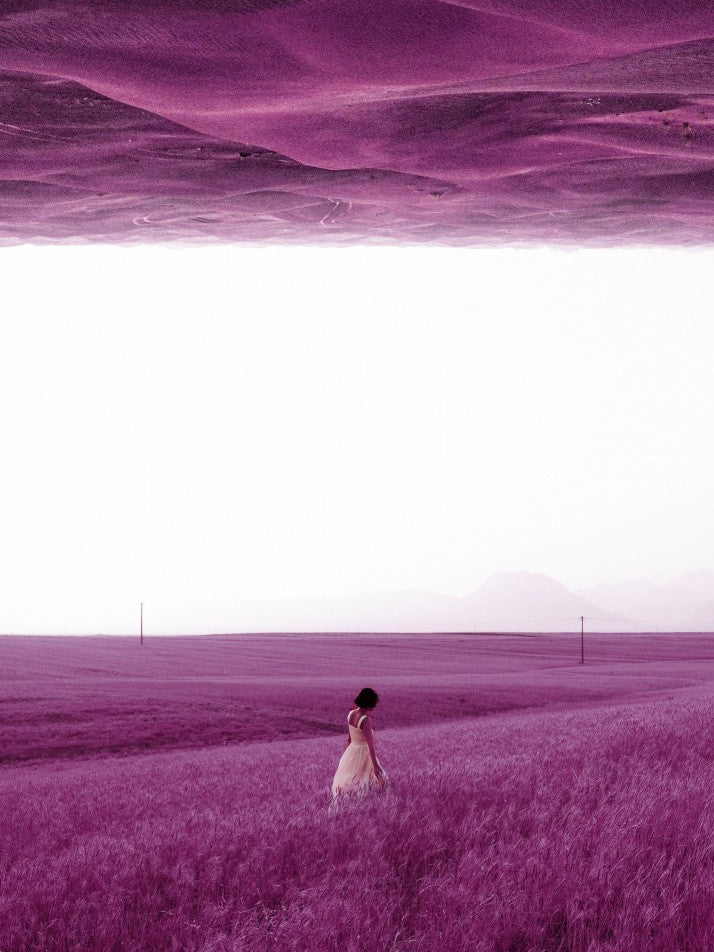 Purple Fields