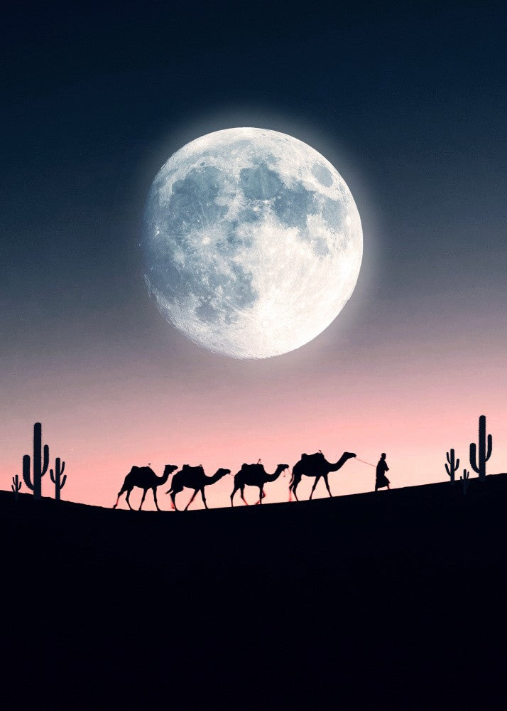Ramadhan Kareem