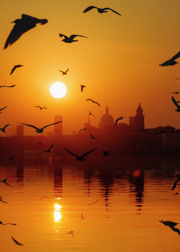 Sunset Birds Lake
