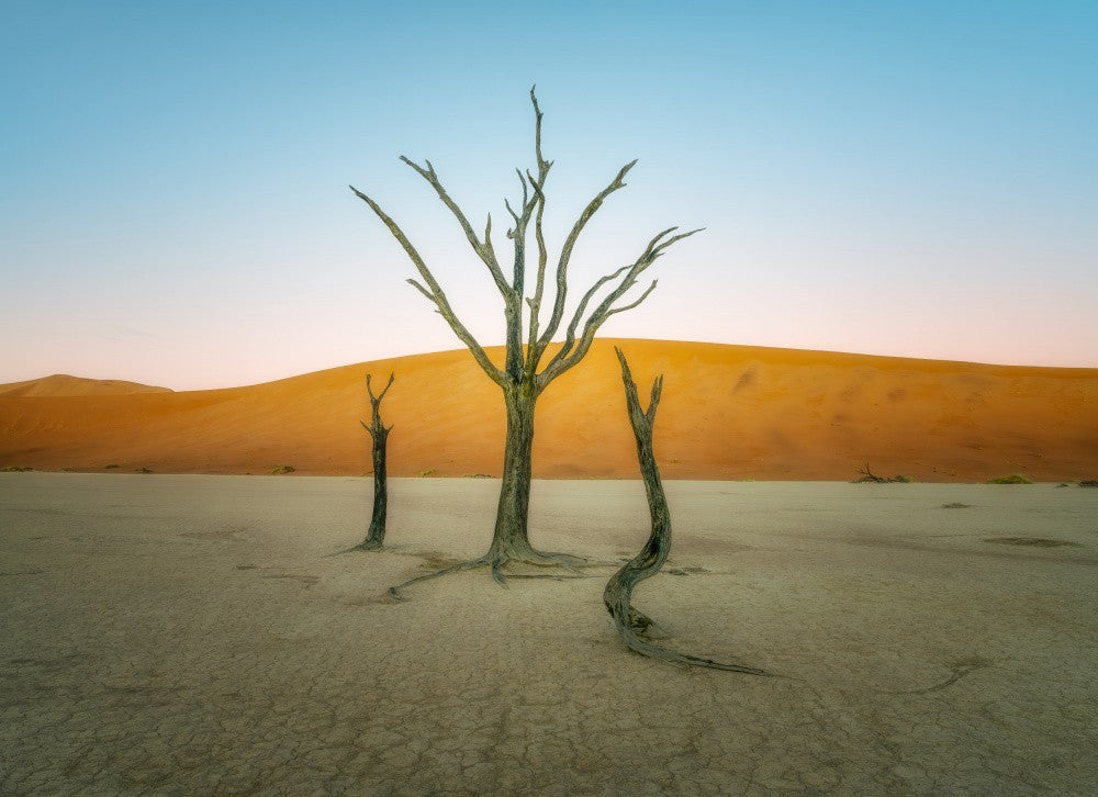 Deadvlei