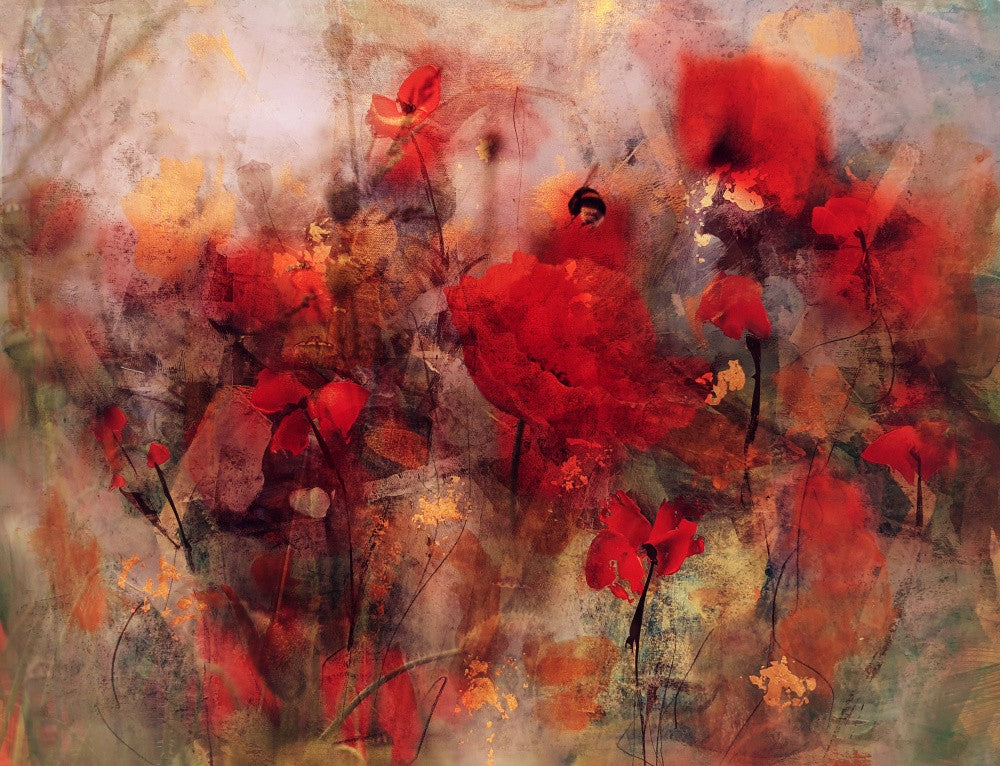 Poppies II
