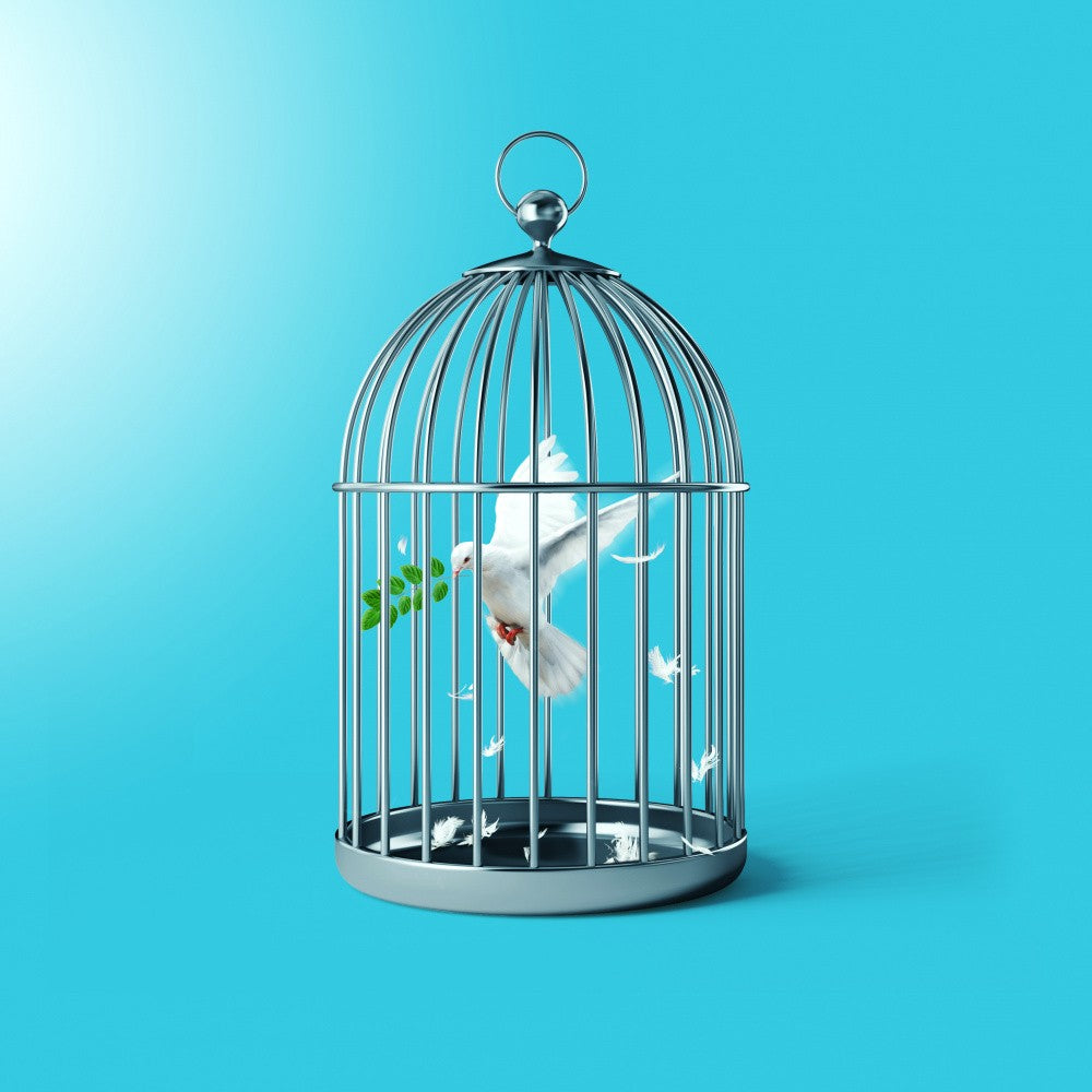 Free the Peace