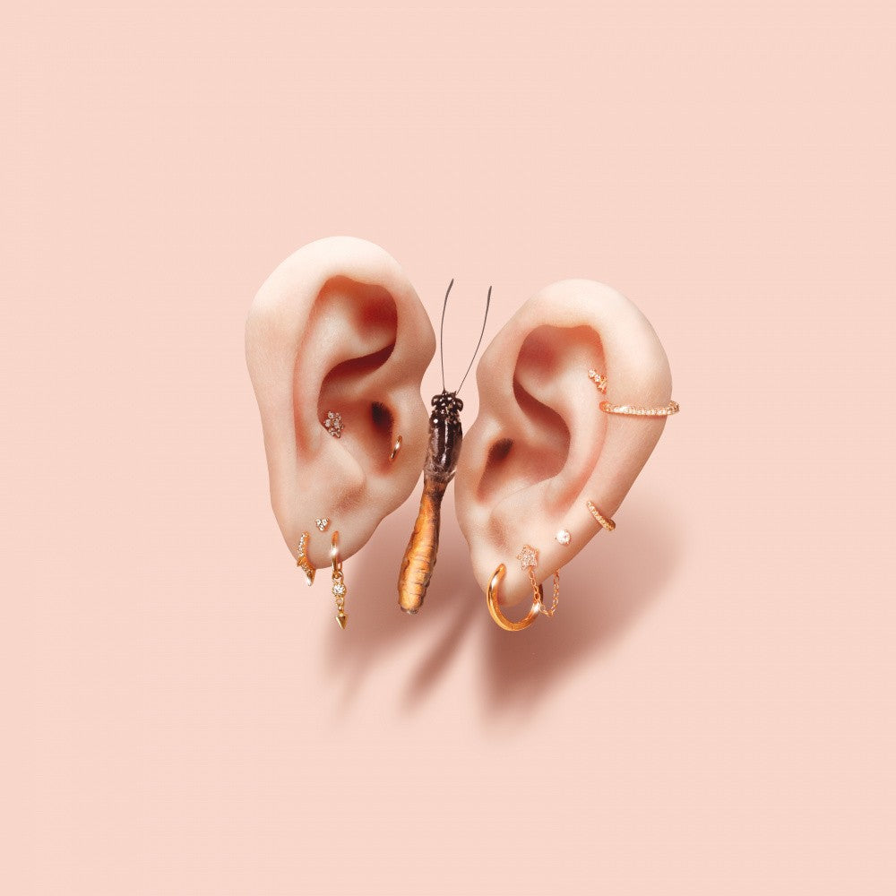 Butterfly Ears