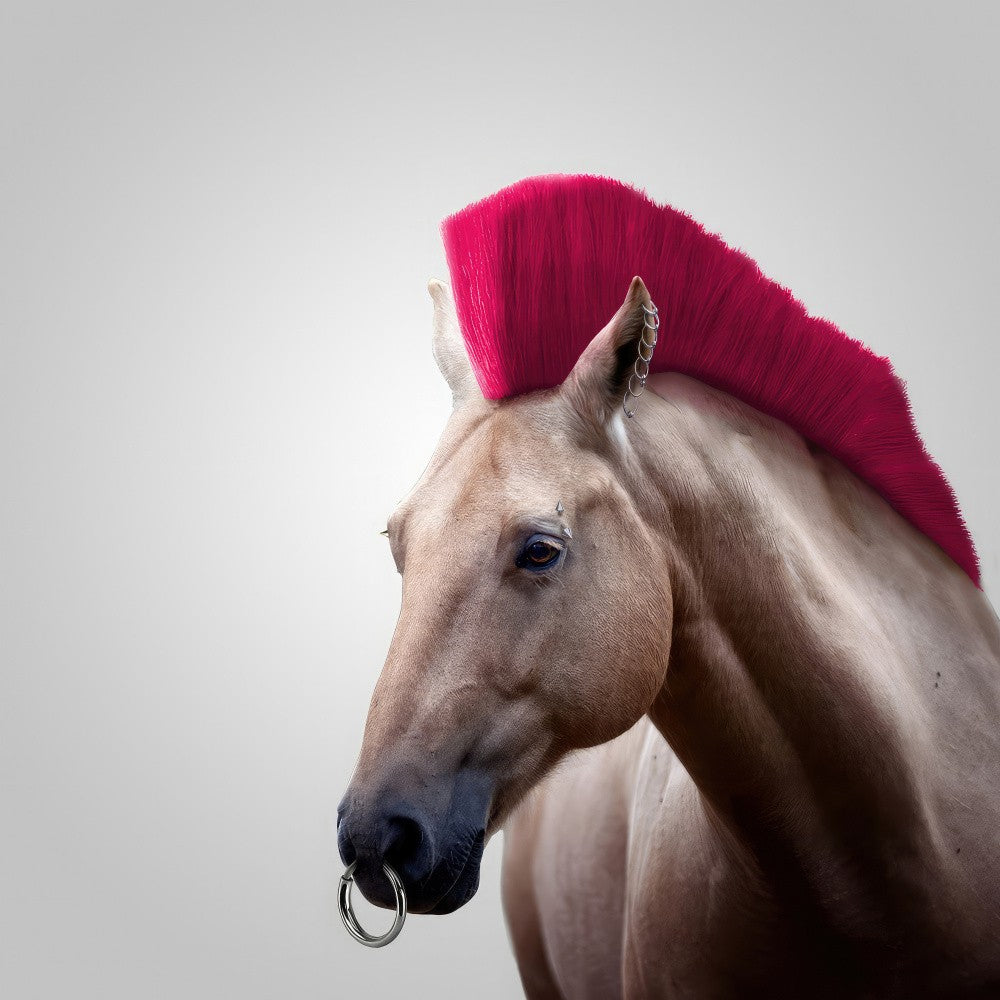 Wild Horse