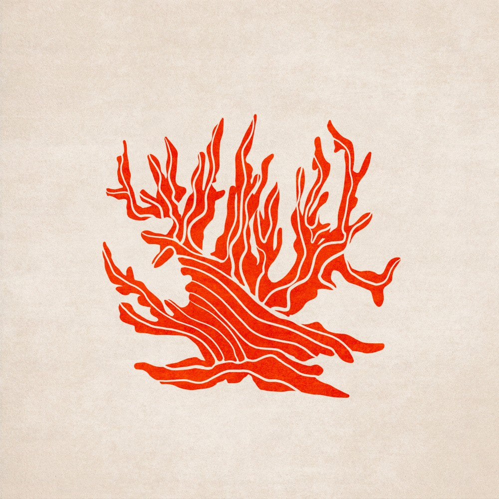 Fiery Coral Bloom