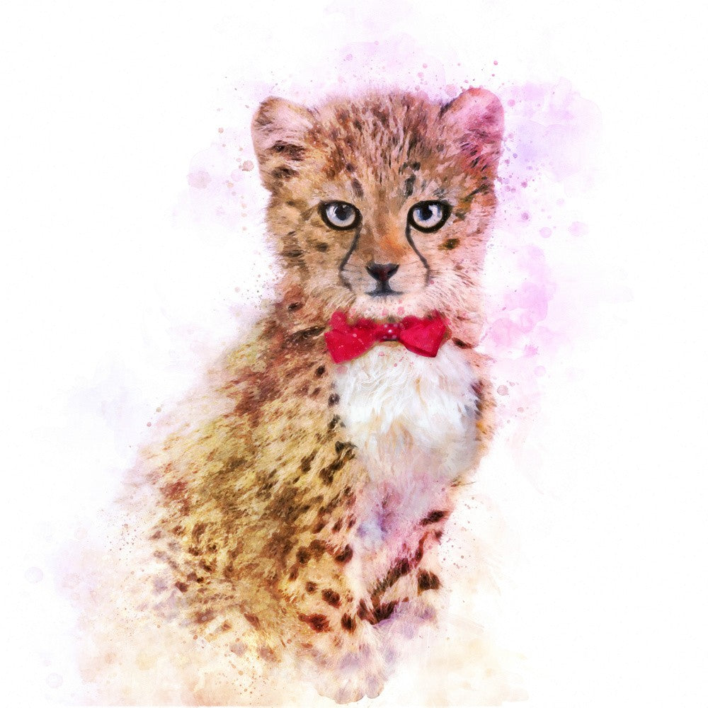 Dapper Cheetah Cub