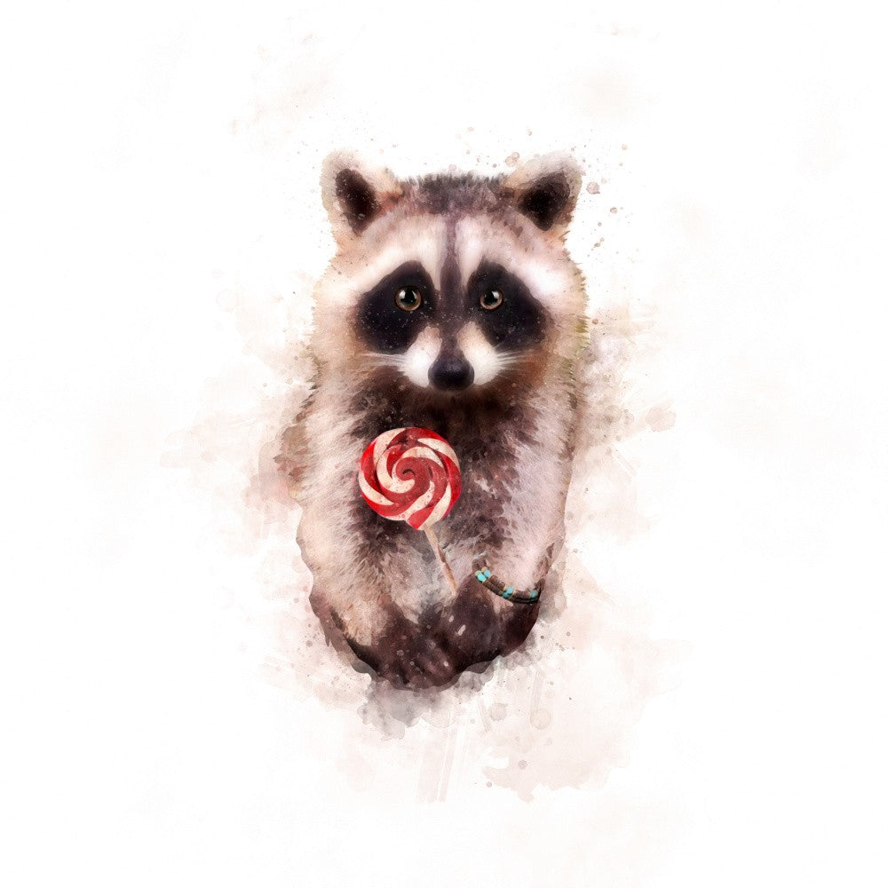 Sweet Raccoon Delight