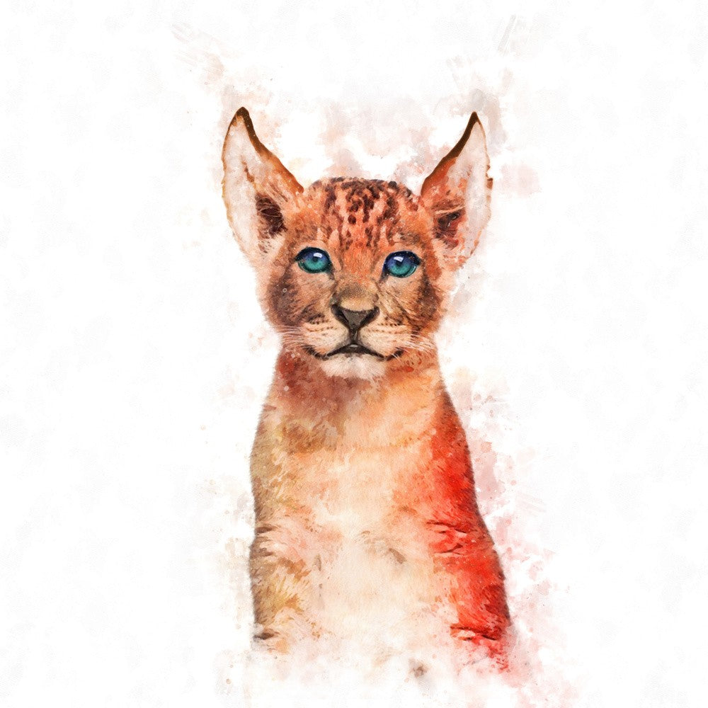 Cub's Blue Gaze