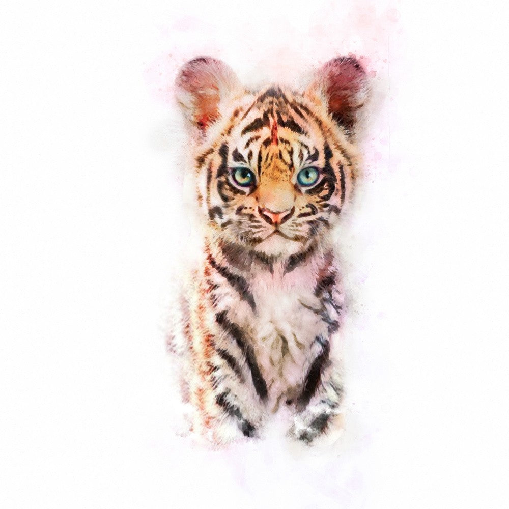 Whiskered Wonder
