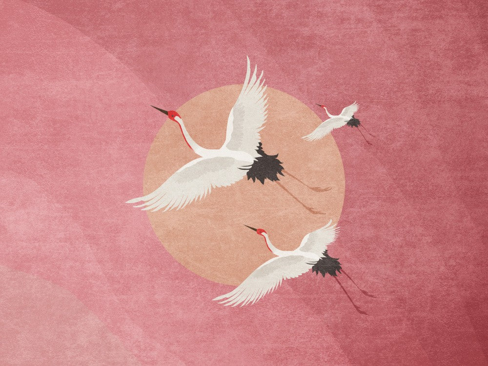 Crimson Sky Soar