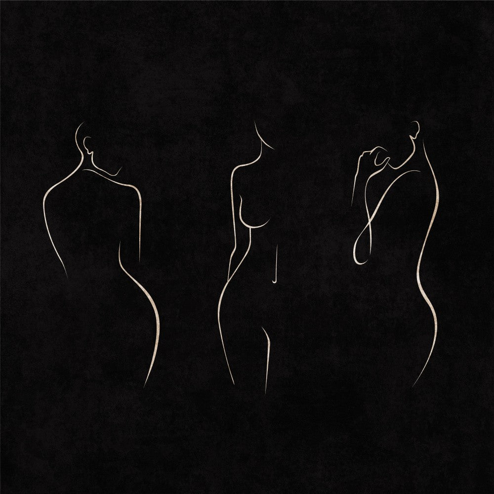 Elegance in Lines