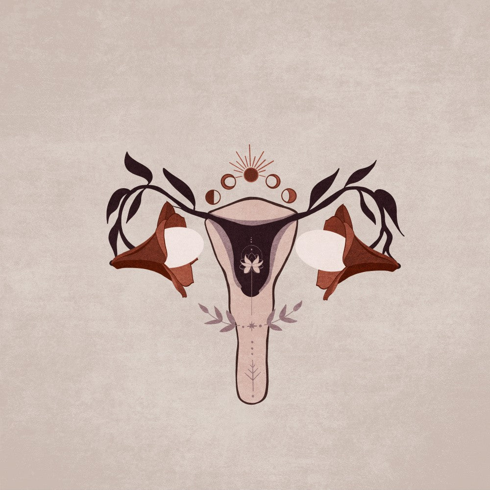 Floral Anatomy