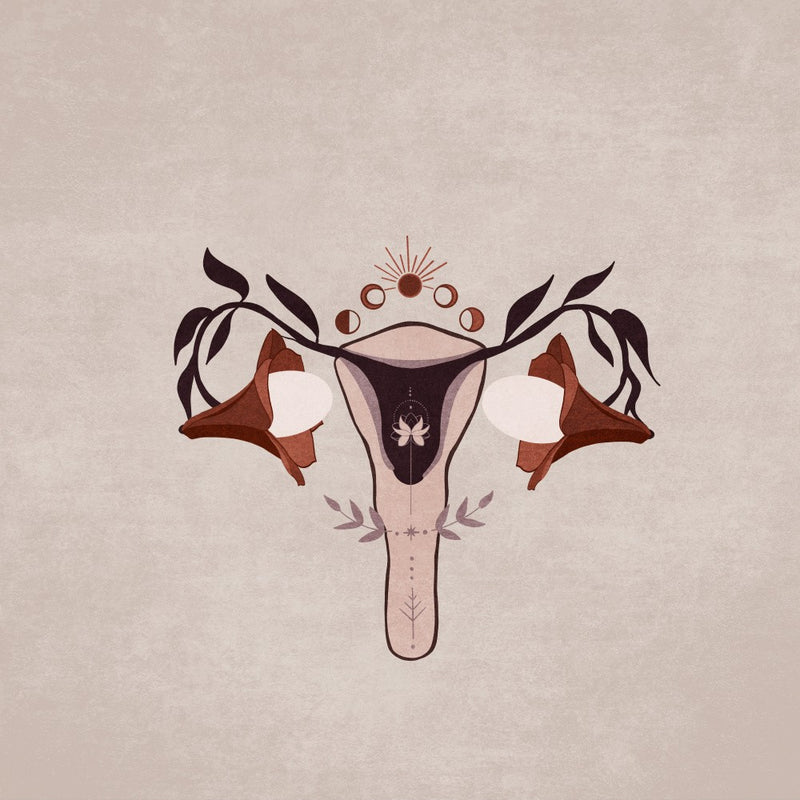 Floral Anatomy