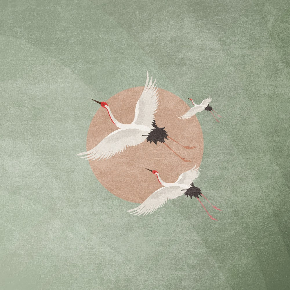 Cranes in Flight