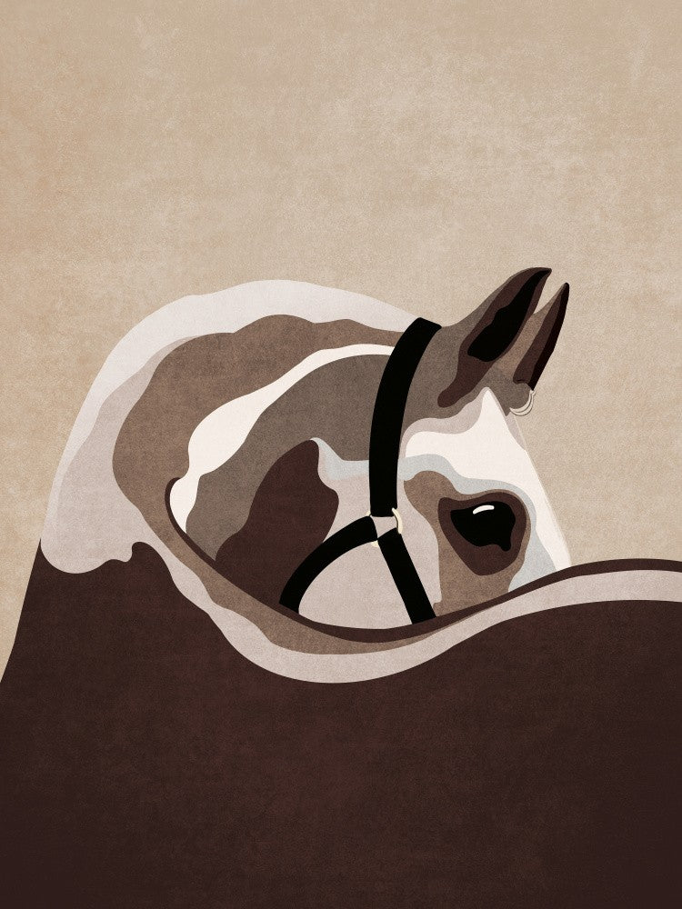 Majestic Equine Gaze