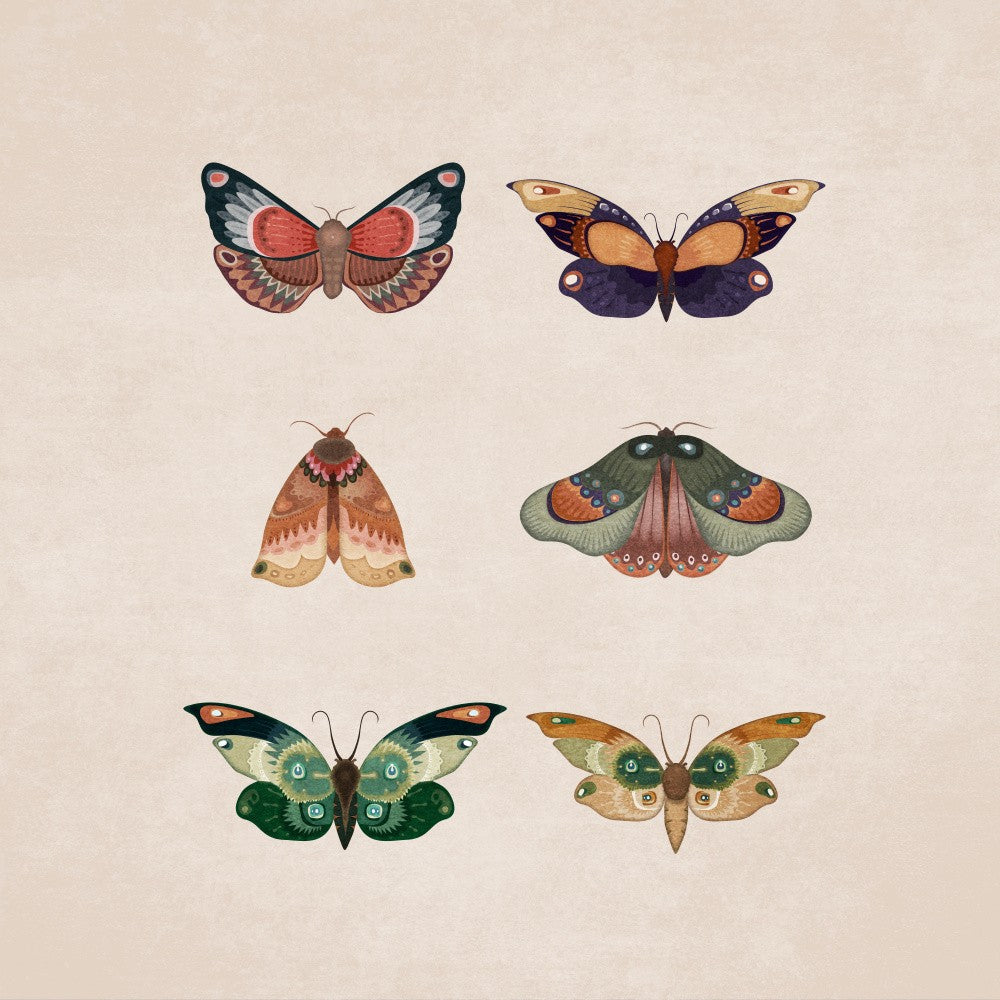 Winged Elegance