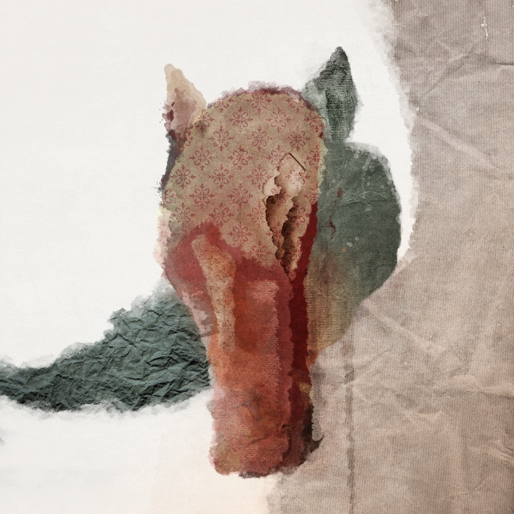Tête de Cheval Abstraite