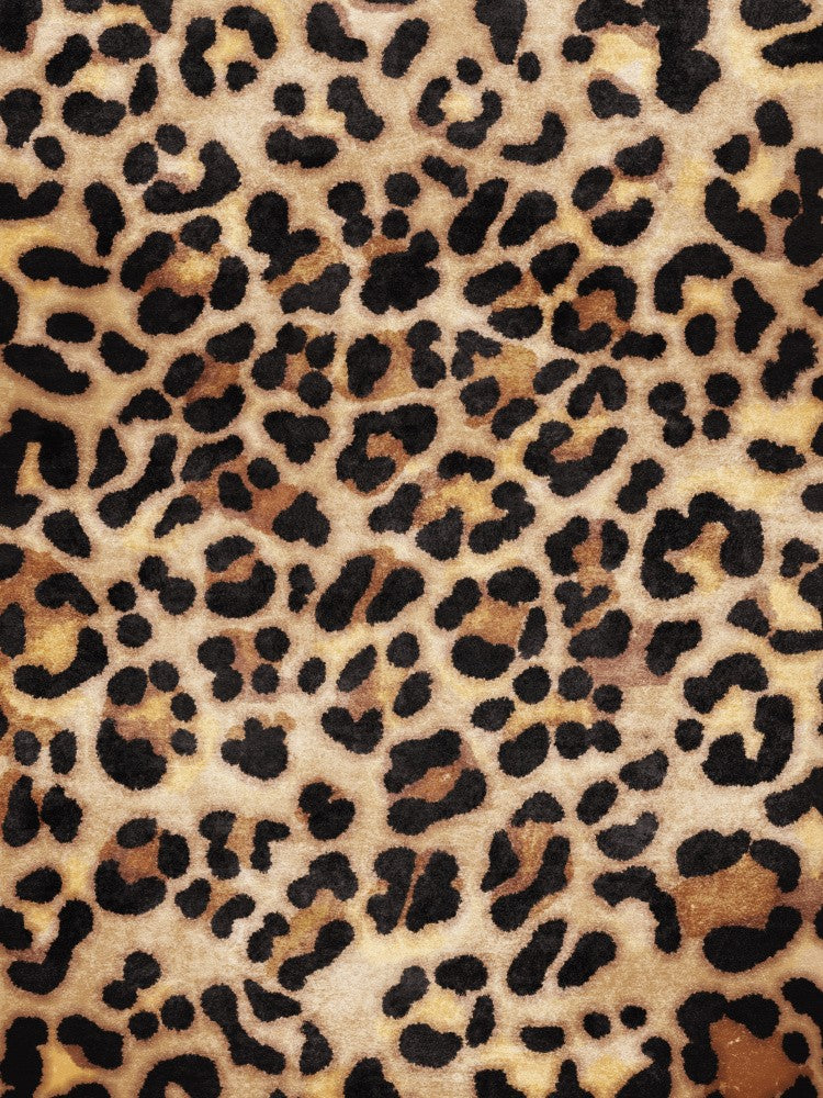 Wild Patterned Canvas