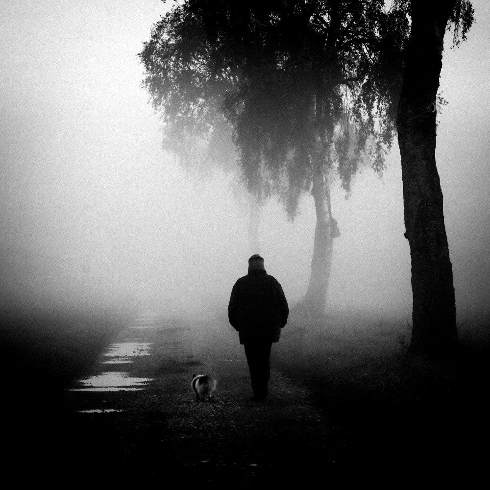 Herbstmorgen