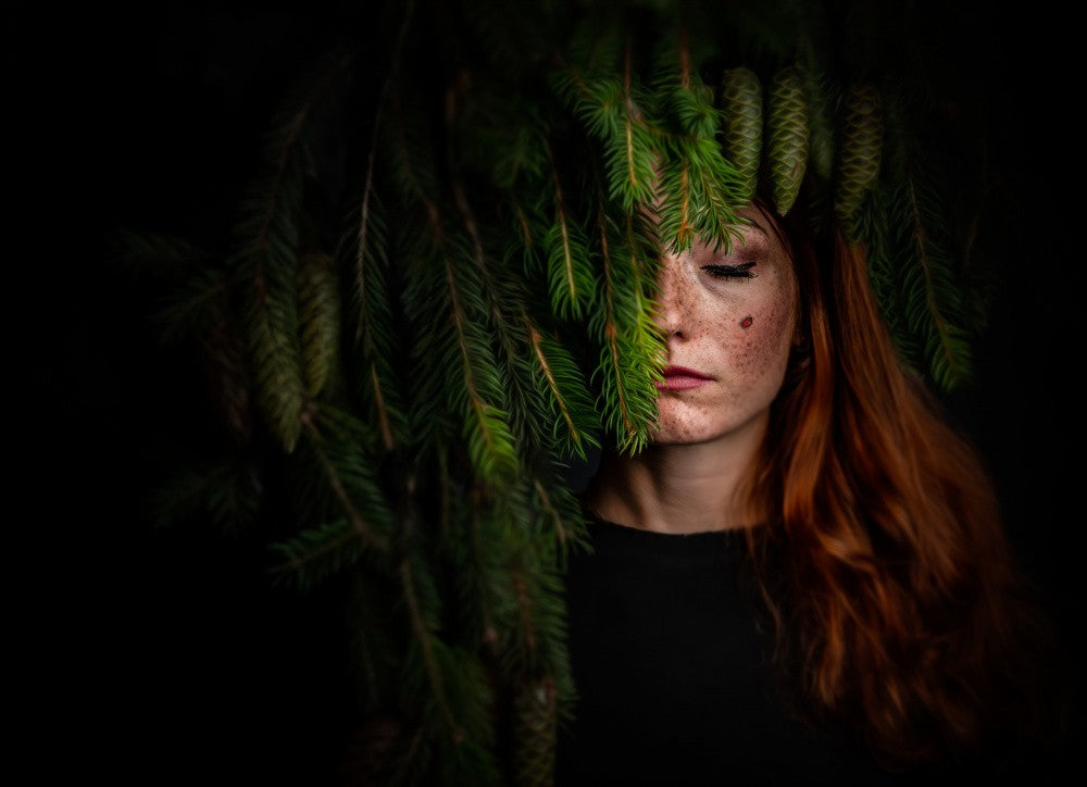 ...roter Marienkäfer