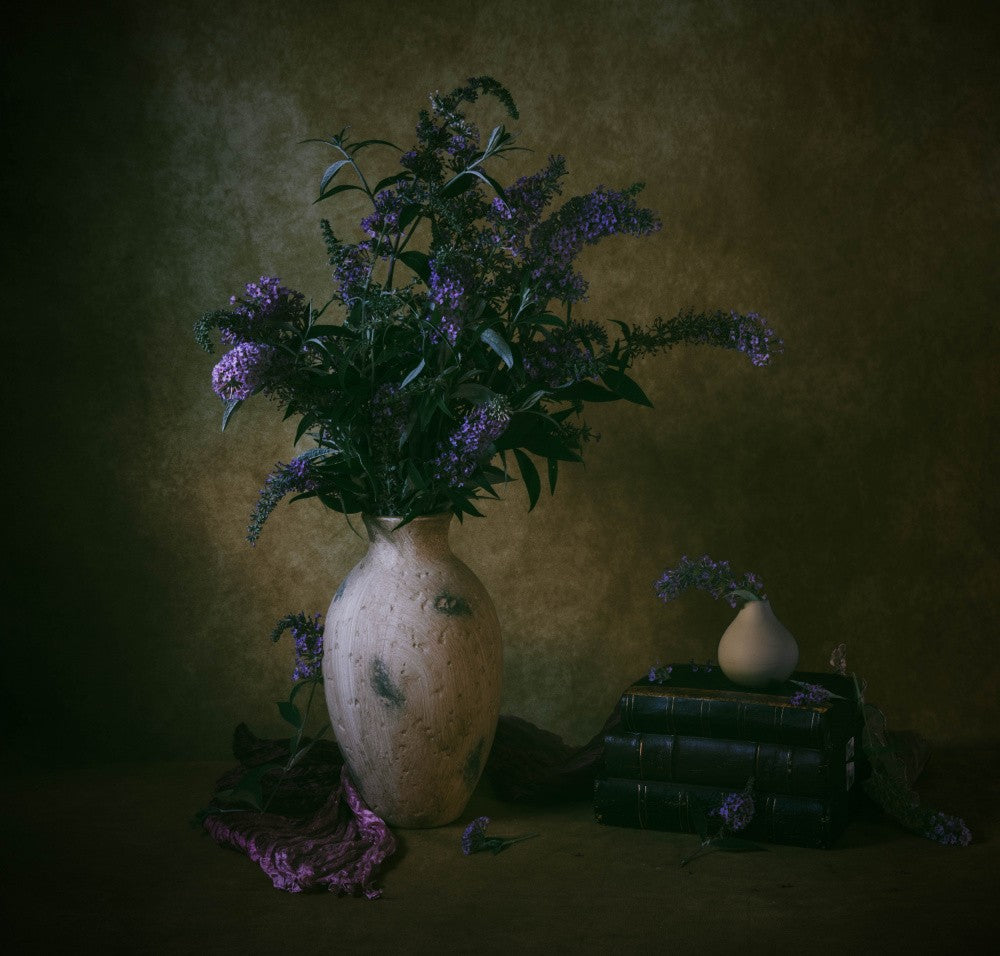 Buddleia