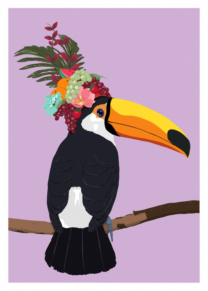 Toucan