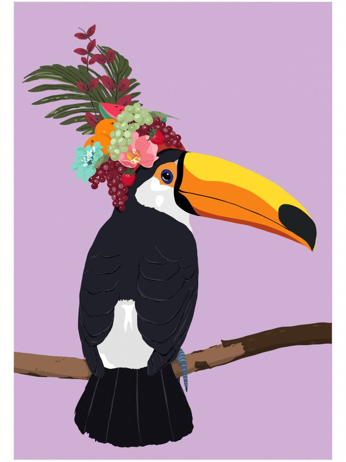 Toucan