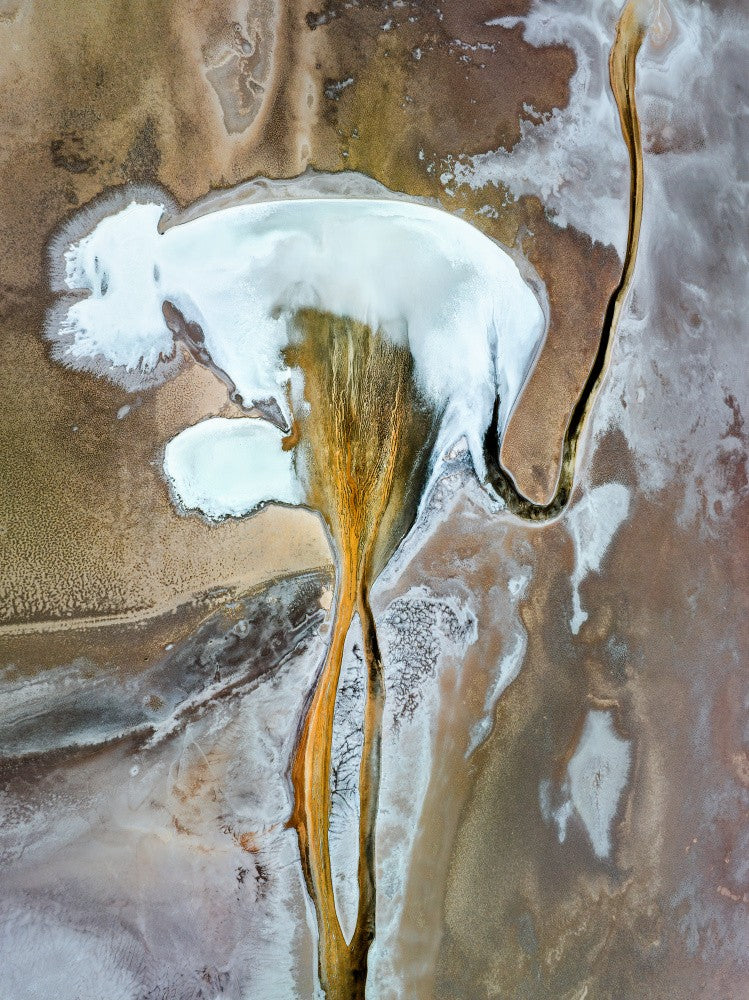 Veins of salt flat II