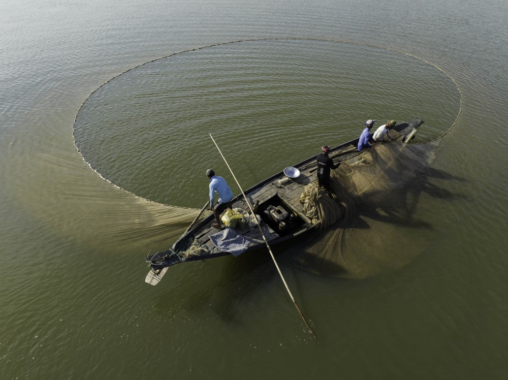 Fishing in haor
