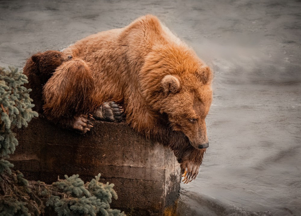 Tired