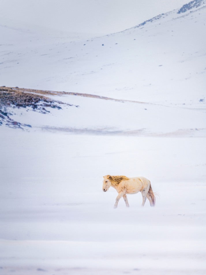 During the snow storm