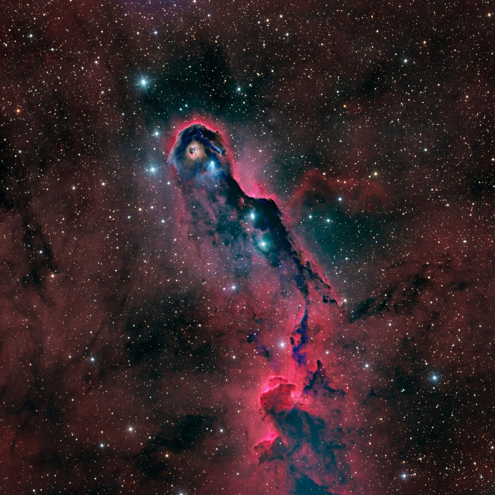 The Elephant Trunk Nebula