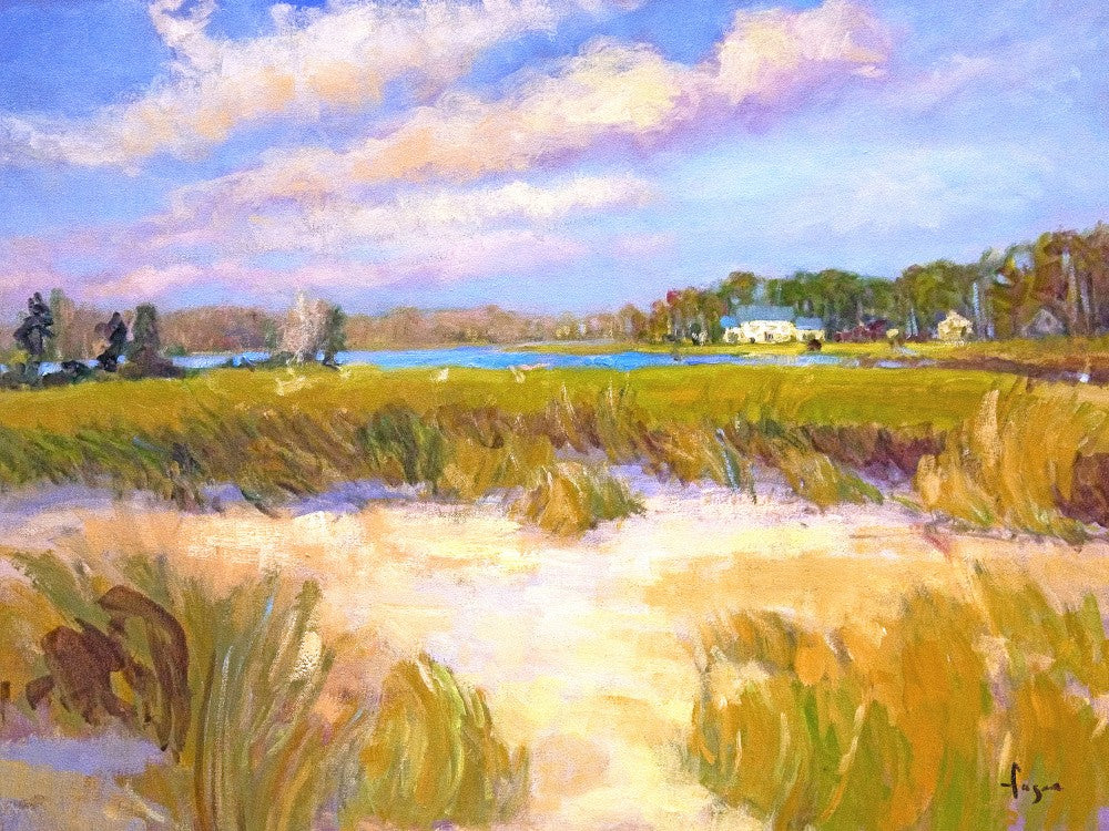 Serene Marshland View