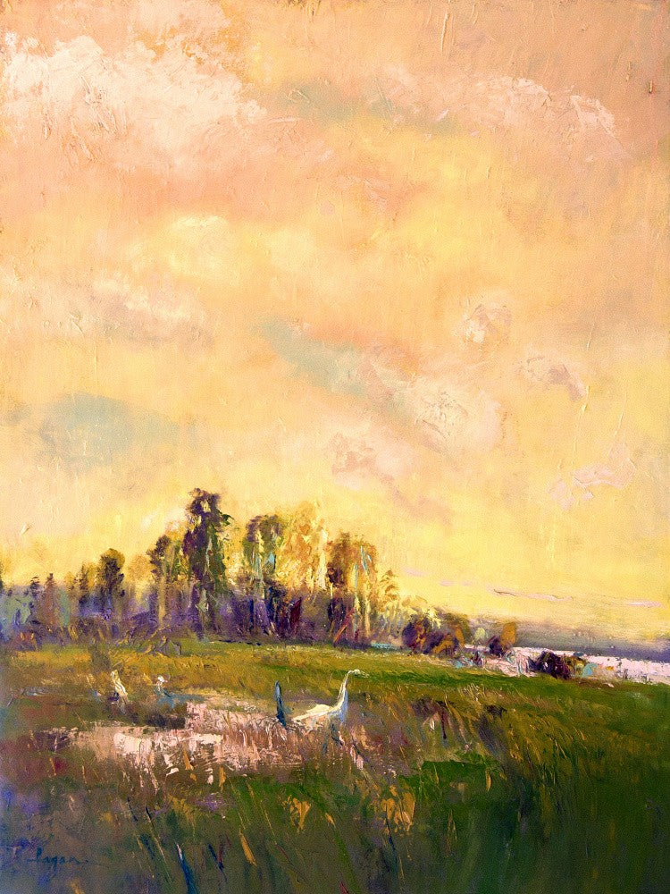 Sunlit Meadowscape