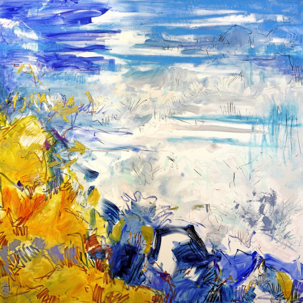 Coastal Impressions
