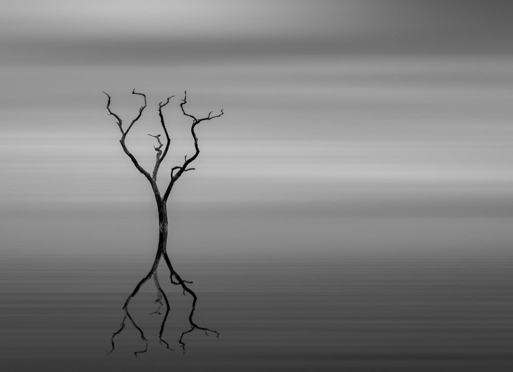 Stillness