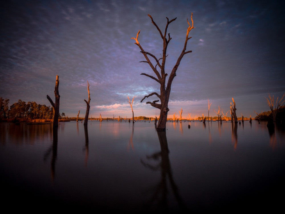 Dawn of Yarrawonga