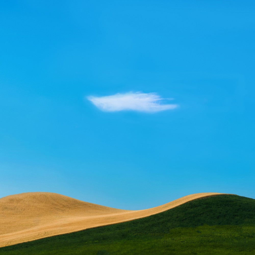 Field Scenery