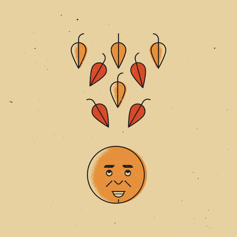 Fall