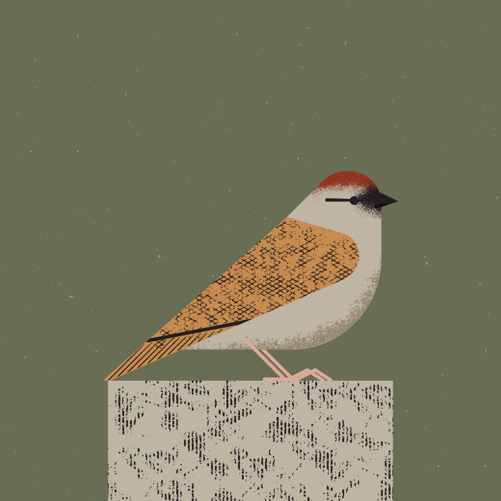 Sparrow