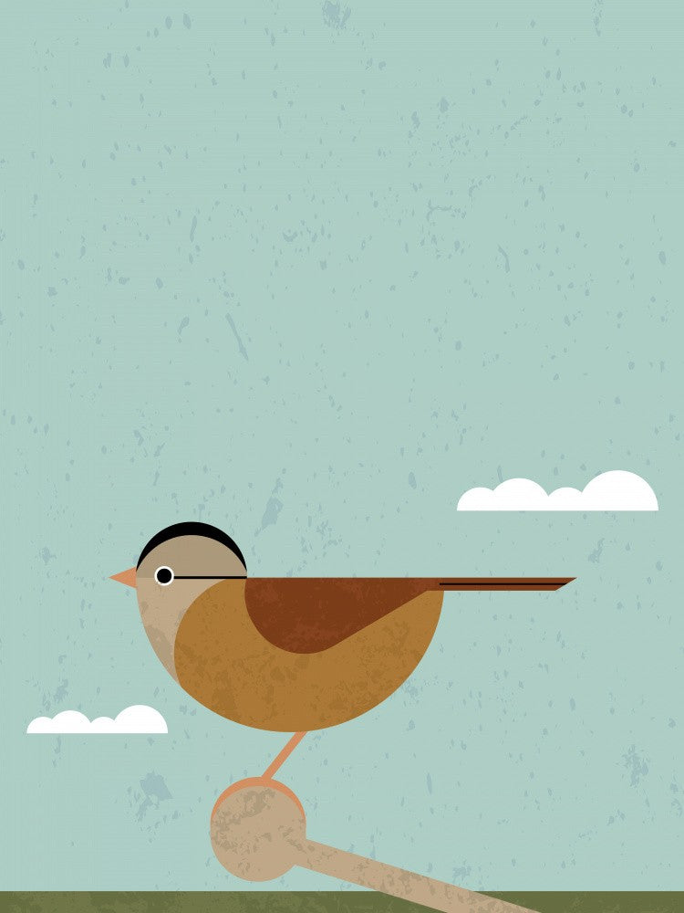 Sparrow 2