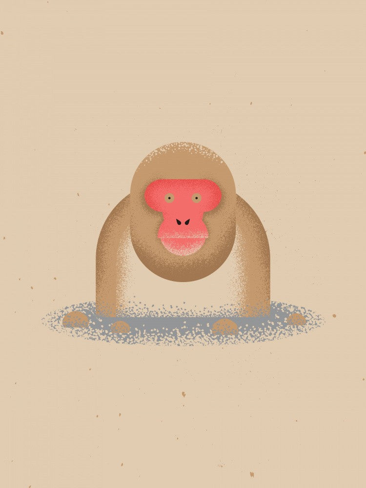 Snow Monkey