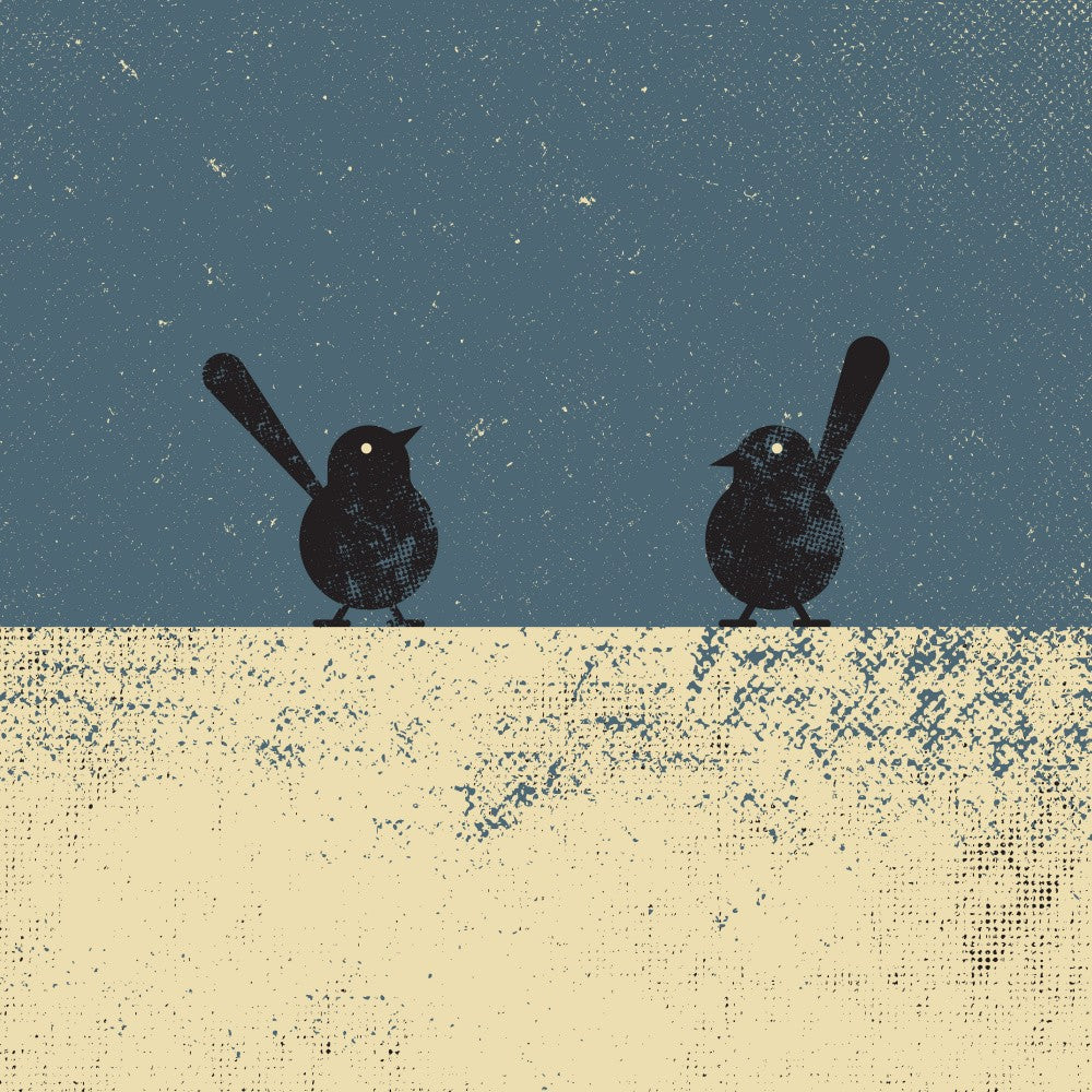 Birds